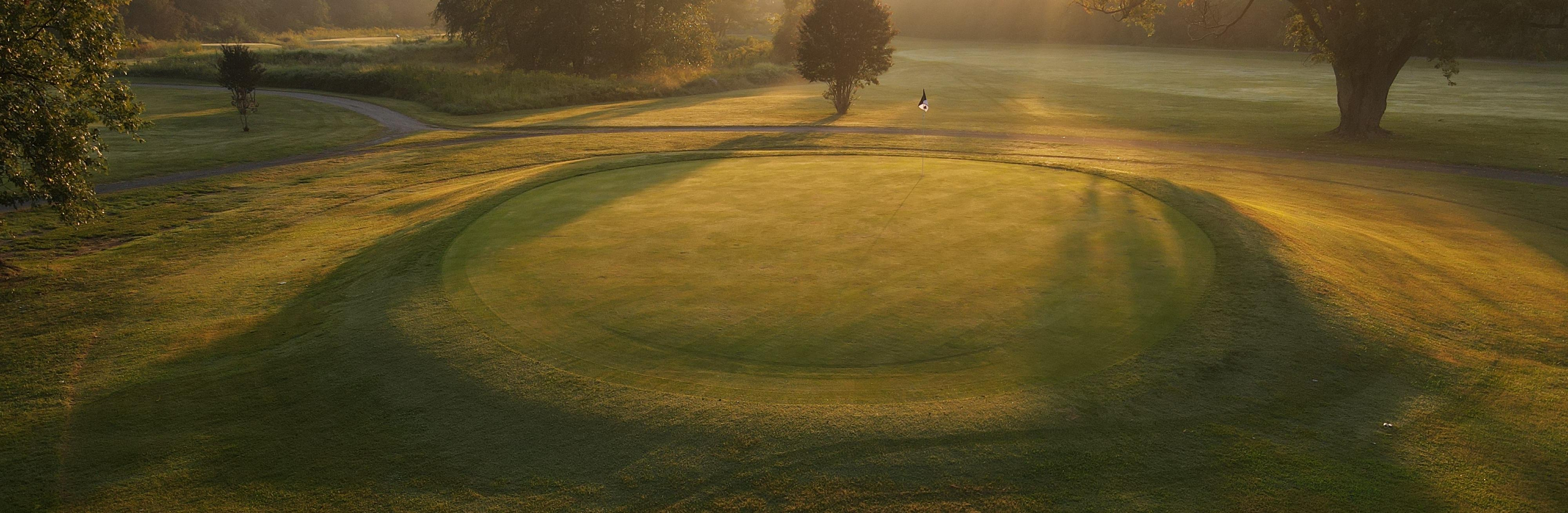 17Green